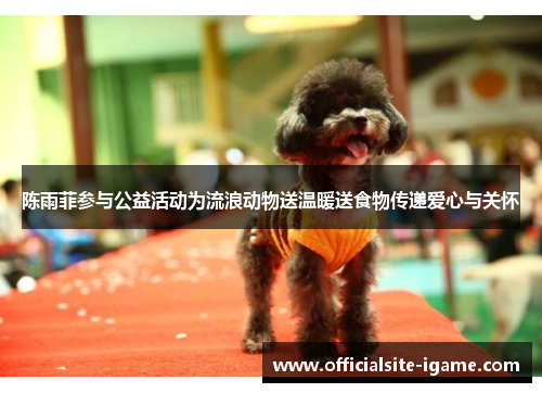 陈雨菲参与公益活动为流浪动物送温暖送食物传递爱心与关怀 陈雨菲参与公益活动为流浪动物送温暖送食物传递爱心与关怀
