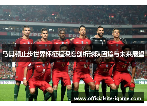 马其顿止步世界杯征程深度剖析球队困境与未来展望